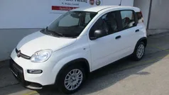 Colore esterno Neu 2024 Fiat Panda Kleinwagen | 15.990 € (Fairer Preis)