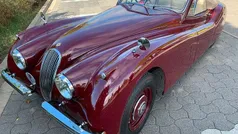 Gebraucht 1953 Jaguar XK Cabrio | 92.490 €