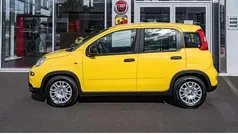 Gelb Gebraucht 2025 Fiat Panda Kleinwagen | 14.595 € (Fairer Preis)