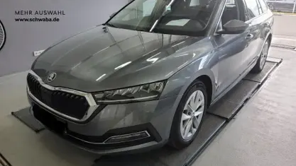 Gebraucht Skoda Octavia Style 150 PS (110 kW) 2023 Grau Kombi