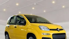 Gebraucht 2025 Fiat Panda Kleinwagen | 14.990 € (Fairer Preis)
