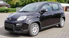 Schwarz Gebraucht 2024 Fiat Panda Kleinwagen | 11.980 € (Fairer Preis)