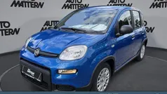 Weiß Gebraucht 2024 Fiat Panda Kleinwagen | 14.489 € (Fairer Preis)