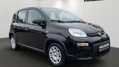 Cinema schwarz Gebraucht 2024 Fiat Panda Kleinwagen | 14.870 € (Fairer Preis)