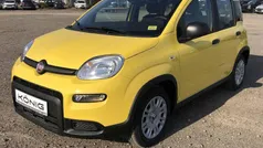 Gelb Gebraucht 2024 Fiat Panda Kleinwagen | 14.889 € (Fairer Preis)