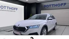 Weiss Gebraucht 2023 Skoda Octavia Kombi | 23.777 € (Fairer Preis)