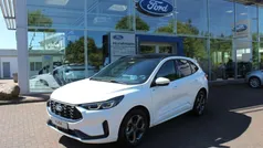 Weiß Gebraucht 2024 Ford Kuga ST-Line SUV | 31.950 € (Fairer Preis)
