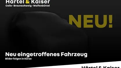 Gebraucht Renault Zoe Intens 50 kW (69 PS) 2019 Titaniumgraumetallic (grau) Kleinwagen