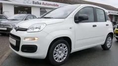 Gelato weiss Neu 2025 Fiat Panda Kleinwagen | 14.990 € (Fairer Preis)