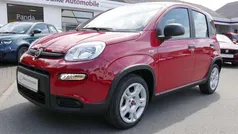Rot Gebraucht 2024 Fiat Panda Kleinwagen | 13.990 € (Fairer Preis)