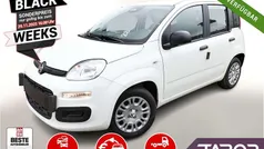 Gelato weiß Neu 2025 Fiat Panda Kleinwagen | 13.644 € (Fairer Preis)