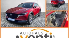 Rot Gebraucht 2021 Mazda CX-30 Selection SUV | 20.419 € (Fairer Preis)