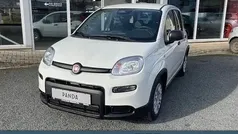Gelato weiss Gebraucht 2025 Fiat Panda Kleinwagen | 14.990 € (Fairer Preis)