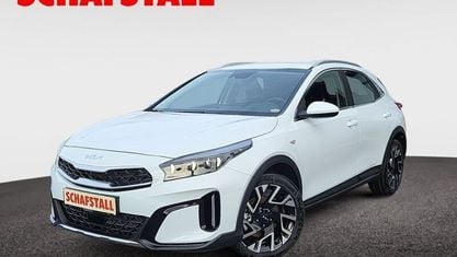 Neu Kia XCeed Comfort 140 PS (102 kW) 2025 Weiss (casa white) SUV
