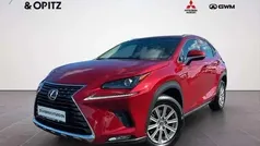 Gebraucht 2018 Lexus NX300h Business Edition SUV | 25.990 € (Superpreis)