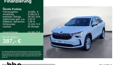 Gebraucht 2024 Skoda Kodiaq Selection SUV | 44.680 € (Guter Preis)