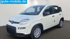 Weiß Neu 2024 Fiat Panda Kleinwagen | 13.990 € (Fairer Preis)