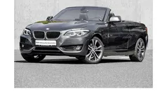 Grau Gebraucht 2019 BMW 220 Advantage Cabrio | 24.190 € (Fairer Preis)