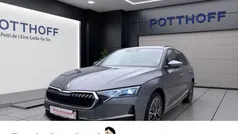 Gebraucht 2024 Skoda Octavia Selection Kombi | 28.977 € (Fairer Preis)