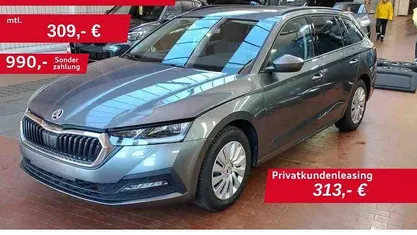 Gebraucht Skoda Octavia Ambition 150 PS (110 kW) 2023 Grau Kombi