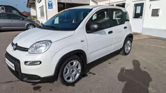 Weiß Neu 2024 Fiat Panda Kleinwagen | 14.990 € (Fairer Preis)