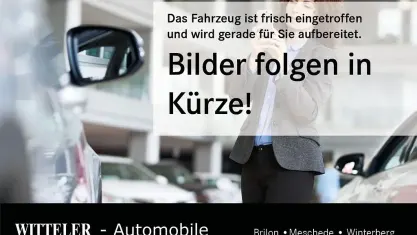 Gebraucht Ford Fiesta ST 200 PS (147 kW) 2019 Blau Kleinwagen
