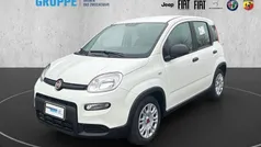 Weißandere Neu 2024 Fiat Panda Basis Kleinwagen | 11.990 €