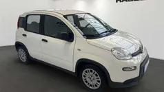 Weiß Gebraucht 2024 Fiat Panda Kleinwagen | 13.990 € (Fairer Preis)