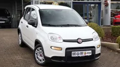Weiss Gebraucht 2023 Fiat Panda Kleinwagen | 12.990 € (Fairer Preis)