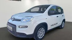 Gelato weiß Neu 2024 Fiat Panda Kleinwagen | 14.990 € (Fairer Preis)