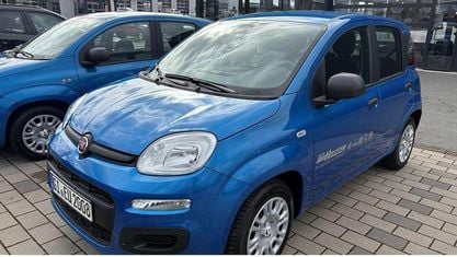 Occasion Fiat Panda Icon 69 ch (50 kW) 2025 Bleue Berline