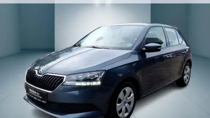 Gebraucht Skoda Fabia Cool Plus 60 PS (44 kW) 2021 Grau Kleinwagen