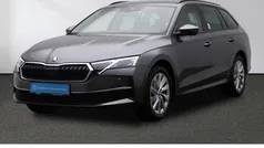 Gebraucht 2024 Skoda Octavia Selection Kombi | 34.480 € (Fairer Preis)