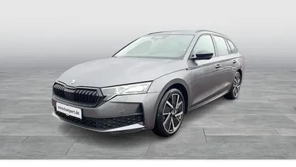 Gebraucht Skoda Octavia SportLine 150 PS (110 kW) 2025 Kombi