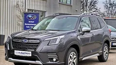 Magnetite gray (m) p Neu 2024 Subaru Forester Active SUV | 36.990 € (Guter Preis)