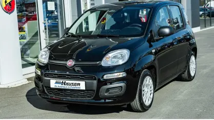 Gebraucht Fiat Panda Icon 65 PS (47 kW) 2026 Schwarz Kleinwagen