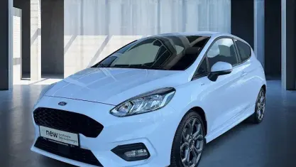 Gebraucht Ford Fiesta ST-Line 101 PS (74 kW) 2019 Frostweiss Kleinwagen