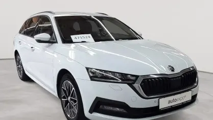 Gebraucht Skoda Octavia Clever 150 PS (110 kW) 2023 Moonweiß perleffekt Kombi