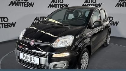 Nouvelle Fiat Panda Icon 65 ch (47 kW) 2026 Noir Citadine