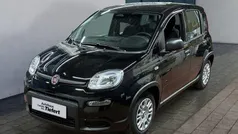 Schwarz Gebraucht 2024 Fiat Panda Kleinwagen | 15.290 € (Fairer Preis)