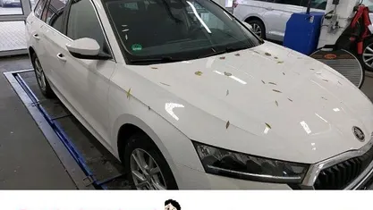 Gebraucht Skoda Octavia Style 116 PS (85 kW) 2023 Kombi