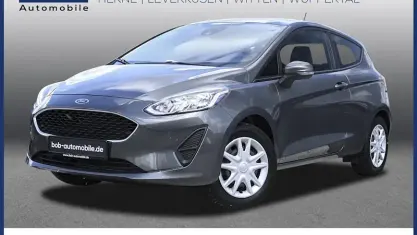 Gebraucht Ford Fiesta Trend 71 PS (52 kW) 2019 Grau Kleinwagen