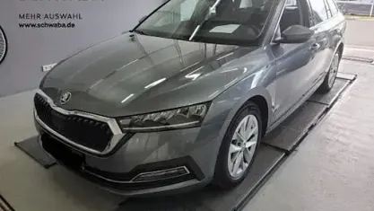 Gebraucht Skoda Octavia Style 150 PS (110 kW) 2023 Grau Kombi