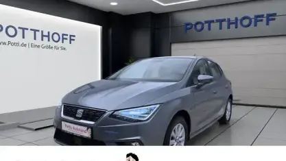 Gebraucht Seat Ibiza Style 95 PS (69 kW) 2017 Pirineos grau Kleinwagen