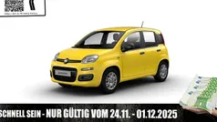 Positano gelb Neu 2025 Fiat Panda S | 13.950 € (Guter Preis)