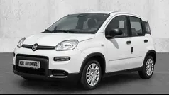 Gelb Gebraucht 2025 Fiat Panda Kleinwagen | 14.595 € (Fairer Preis)