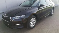 Gebraucht 2025 Skoda Octavia Selection Kombi | 34.340 € (Guter Preis)