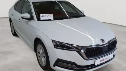 Gebraucht Skoda Octavia Style 150 PS (110 kW) 2023 Moonweiß perleffekt Limousine