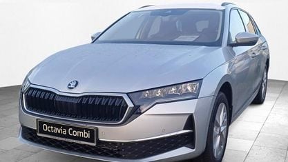 Occasion Skoda Octavia Selection 116 ch (85 kW) 2026 Argent Break