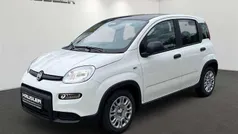 Gelato weiß Gebraucht 2024 Fiat Panda Kleinwagen | 14.990 € (Fairer Preis)